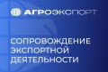 Бесплатная поддержка экспорта для аграриев региона: от идеи до контракта