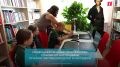 � �������� ���������� ���������� �� ������ ����������� ����, � ���������� �������� ���������� � ������������, �������� � ��-���������� ������