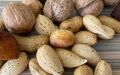 Ореховый Спас - держи рукавицы про запас