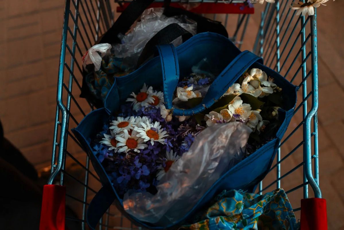 К концу августа все начинают вспоминать, каким было это лето К концу августа все начинают вспоминать, каким было это лето