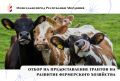 Старт приема заявок на гранты 2026!