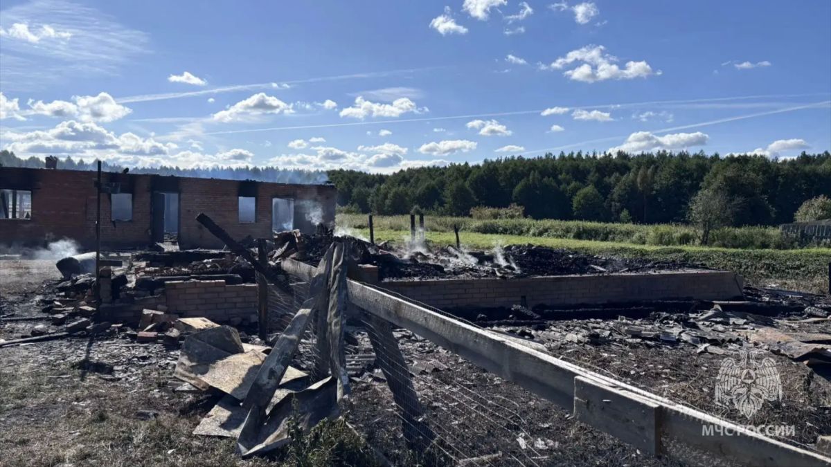 Пожар в Темниковском районе Пожар в Темниковском районе