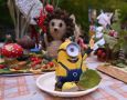 В новый день - с хорошим настроением! Доброго утра, уважаемые читатели!