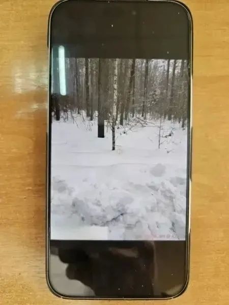 Наркокурьеры из Нижегородской области признаны виновными в совершении преступления на территории Мордовии Наркокурьеры из Нижегородской области признаны виновными в совершении преступления на территории Мордовии