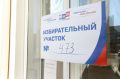 В Мордовии на выборах работают международные общественные наблюдатели