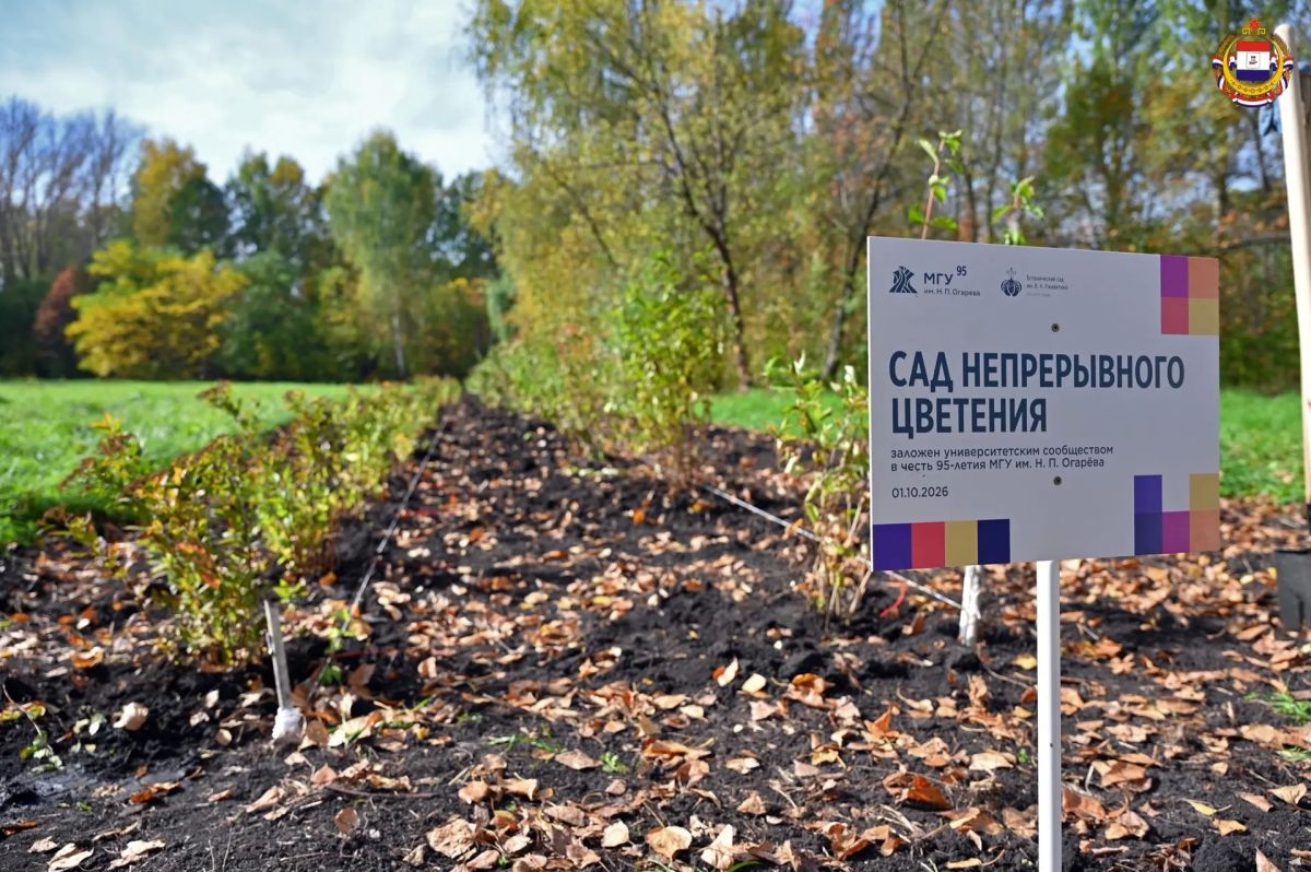 Сад, который будет цвести круглый год
