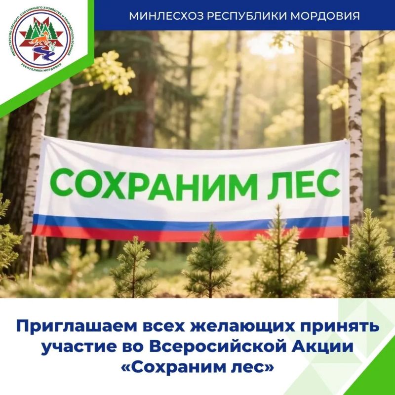 Акция «Сохраним лес»: в Краснослободском районе высадят 4 000 сосен в рамках нацпроекта «Экологическое благополучие»