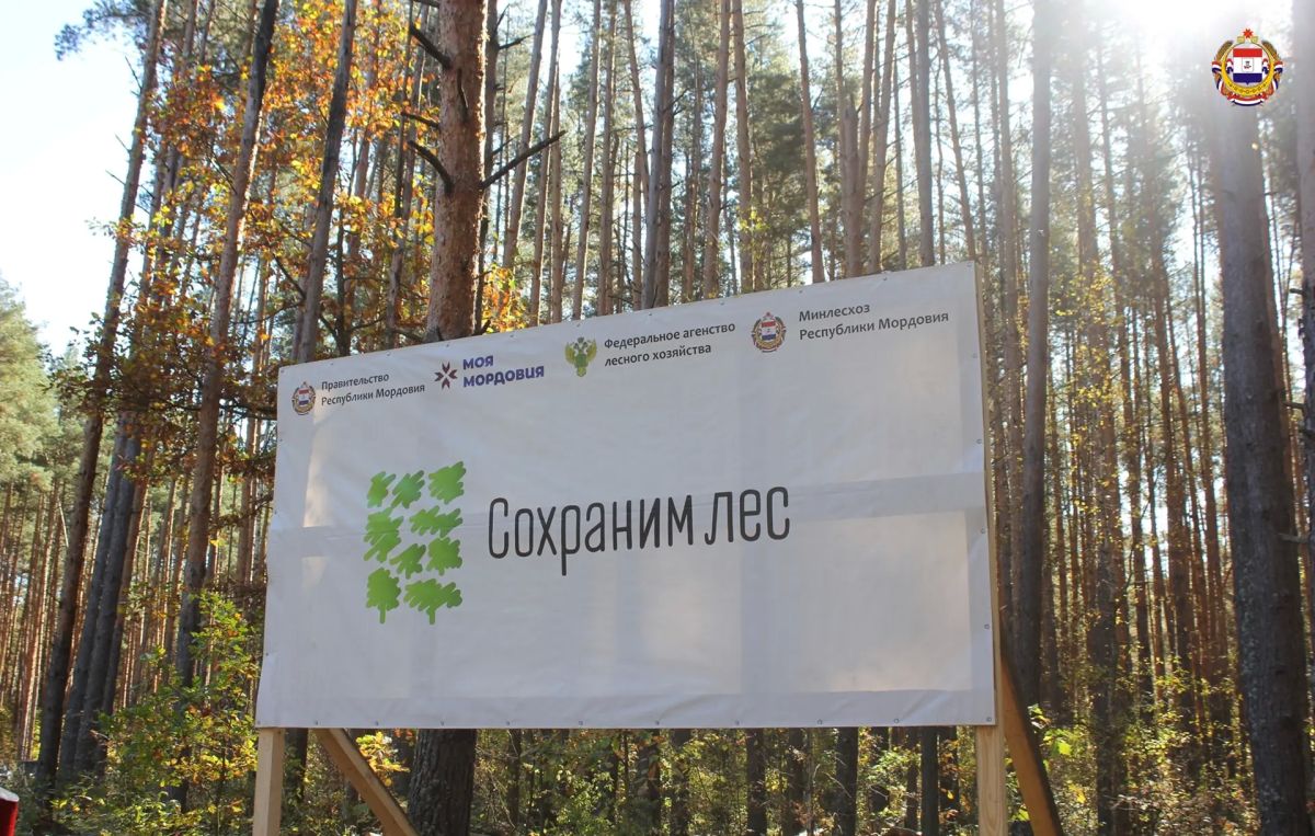 Мордовия становится зеленее! Мордовия становится зеленее!