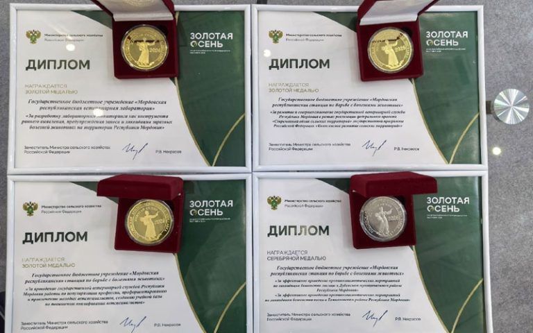 На второй день работы выставки «Золотая осень» началось награждение золотыми и серебряными медалями выставки
