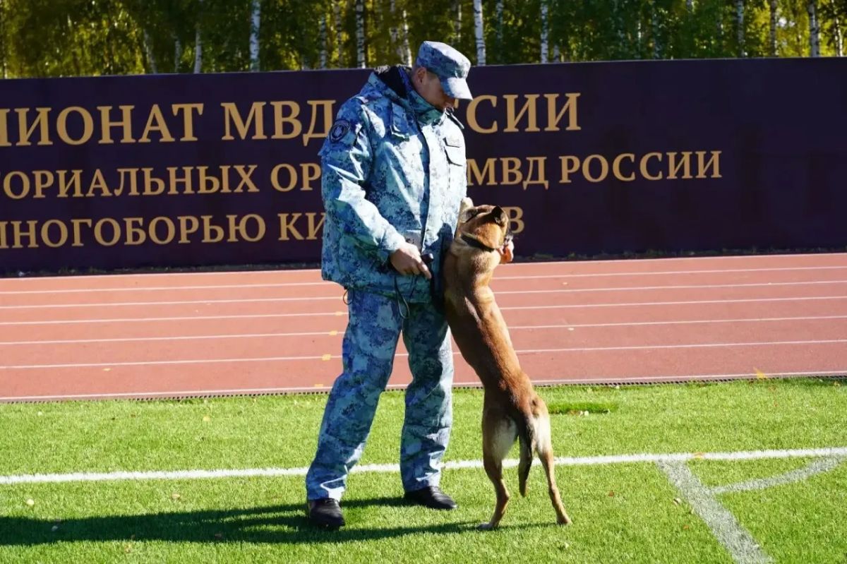 В Казани завершился Чемпионат МВД России по многоборью кинологов В Казани завершился Чемпионат МВД России по многоборью кинологов