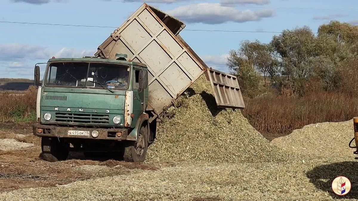 В Мордовии продолжается уборка кукурузы