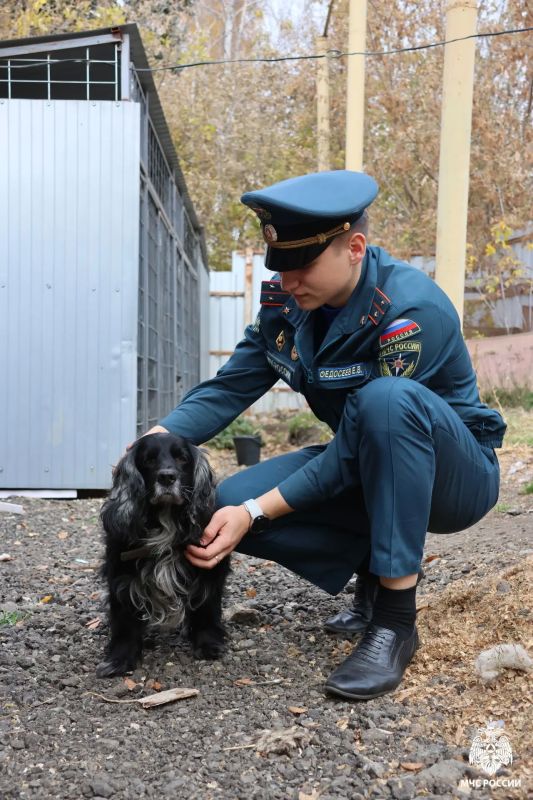 Когда доброта объединяет: Молодёжный совет Главного управления МЧС России по Республике Мордовия посетил приют! Когда доброта объединяет: Молодёжный совет Главного управления МЧС России по Республике Мордовия посетил приют!