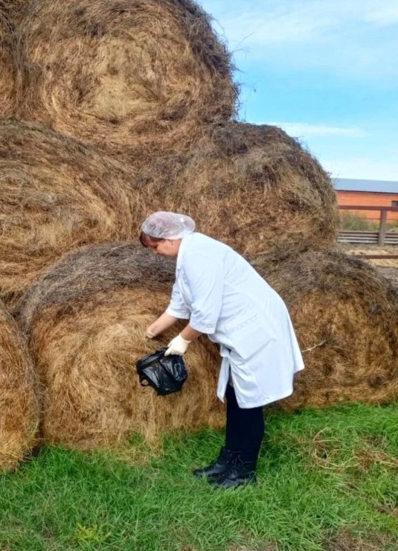 СТАРТ ВЕТЕРИНАРНОСАНИТАРНОЙ ОЦЕНКИ КОРМОВ: ЛАБОРАТОРИИ ГОСВЕТСЛУЖБЫ ПРИСТУПИЛИ К ИССЛЕДОВАНИЯМ СТАРТ ВЕТЕРИНАРНОСАНИТАРНОЙ ОЦЕНКИ КОРМОВ: ЛАБОРАТОРИИ ГОСВЕТСЛУЖБЫ ПРИСТУПИЛИ К ИССЛЕДОВАНИЯМ