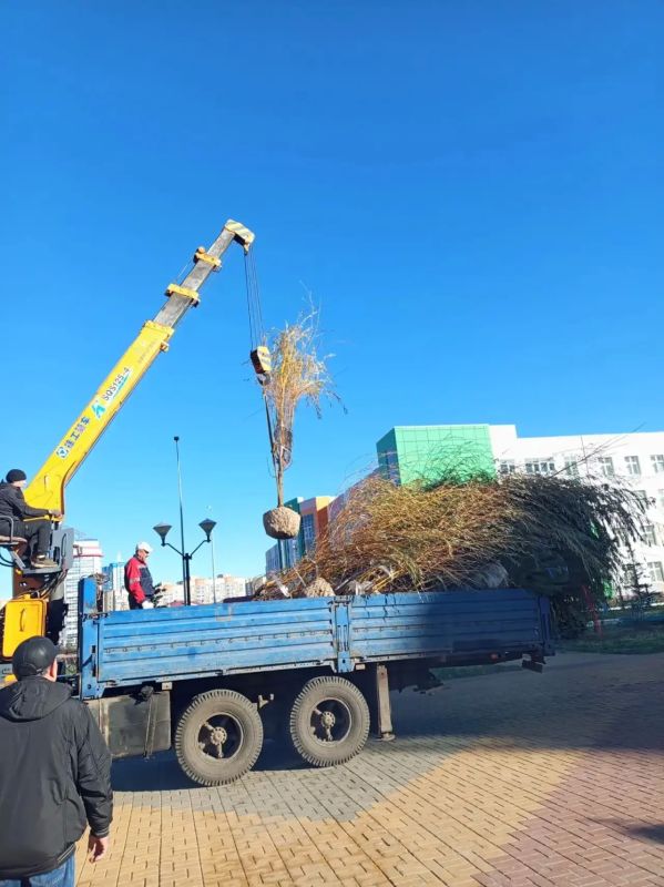 В Саранске продолжается осенняя кампания по озеленению В Саранске продолжается осенняя кампания по озеленению