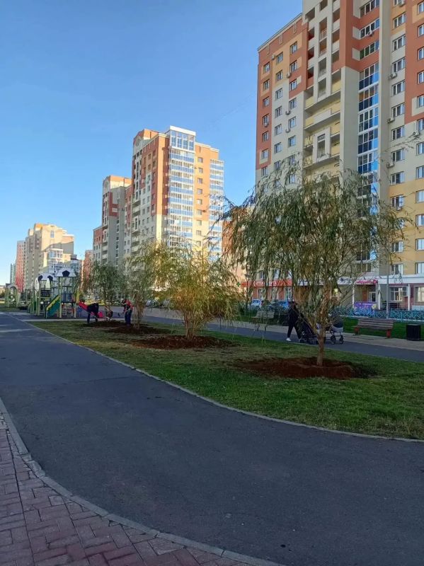 В Саранске продолжают высаживать деревья!