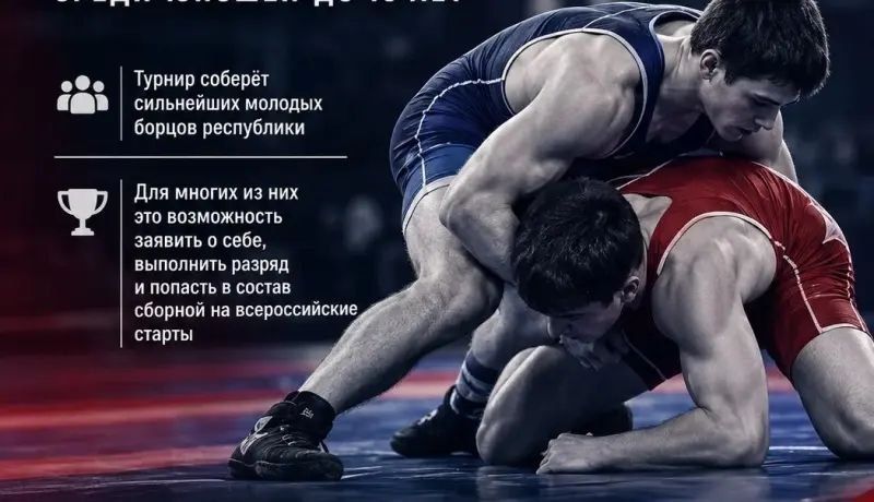 Первенство Мордовии по греко-римской борьбе пройдет в Саранске 26-27 октября