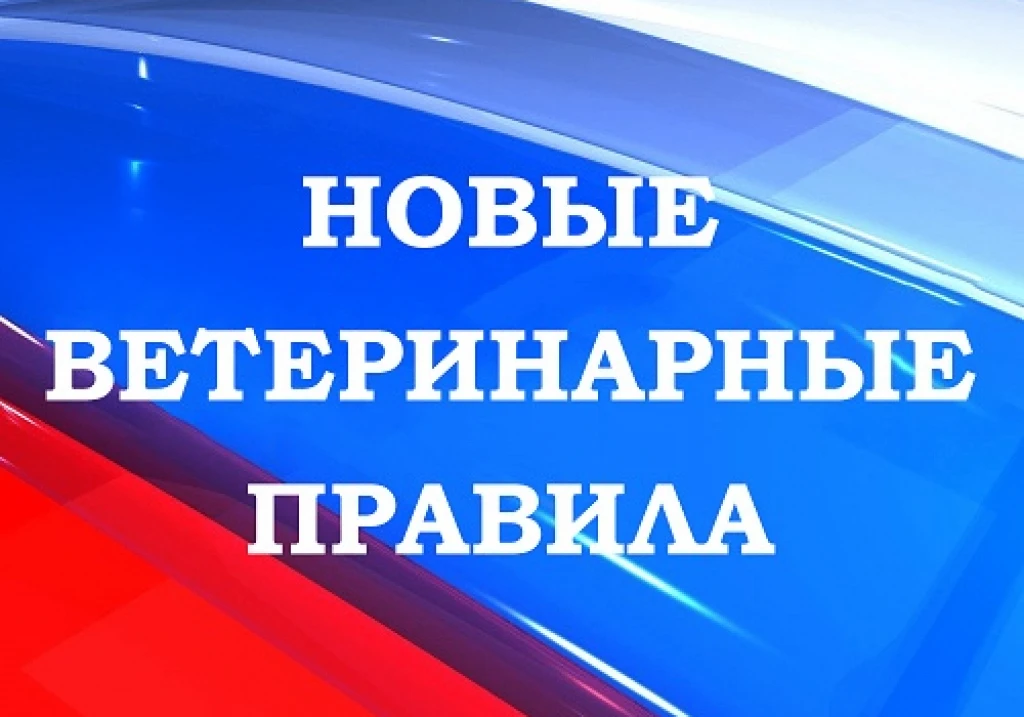 Утверждены Ветеринарные правила, регулирующие проведение мероприятий по профилактике и ликвидации очагов аэромонозов лососевыхи карповых рыб; инфекционного некроза поджелудочной железы лососевыхрыб; инфекционной анемии...