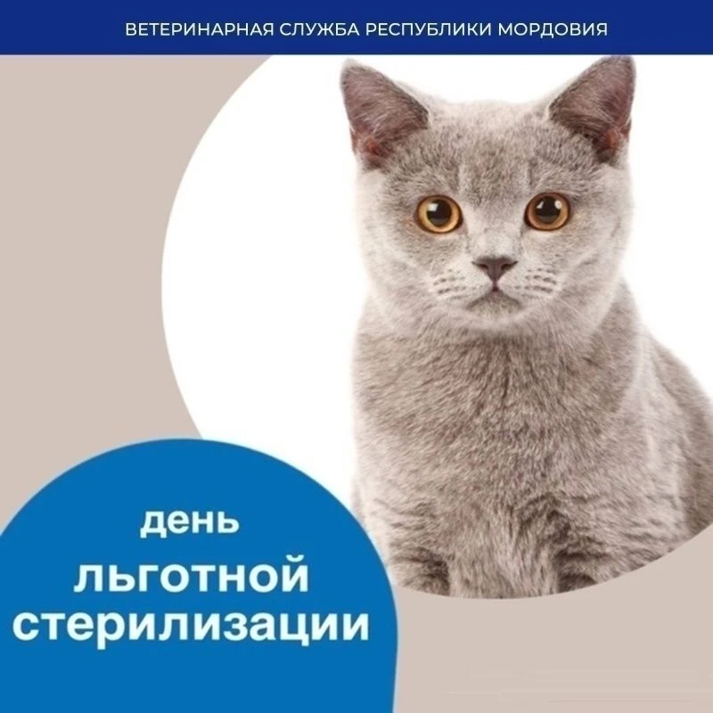 ГРАФИК ПРОВЕДЕНИЯ АКЦИИ «ДЕНЬ ЛЬГОТНОЙ СТЕРИЛИЗАЦИИ» НА НОЯБРЬ