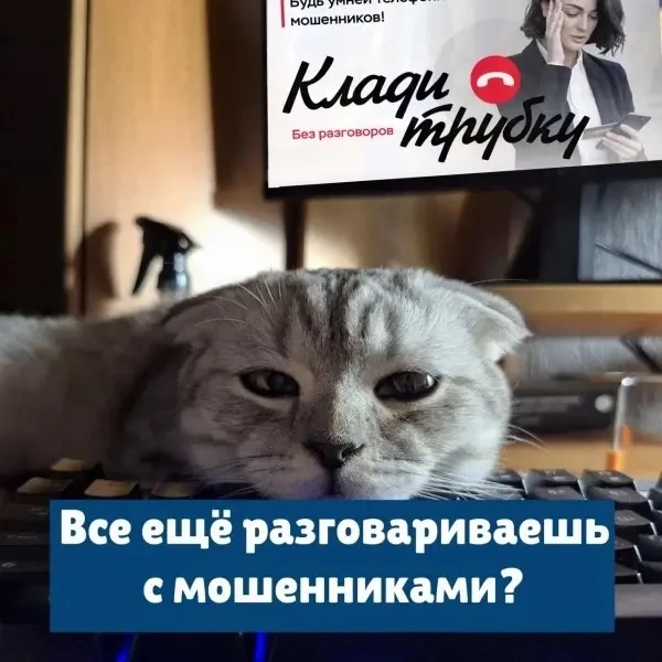 Саранский предприниматель лишился более 1 миллиона 800 тысяч рублей, планируя заработать на криптоактивах